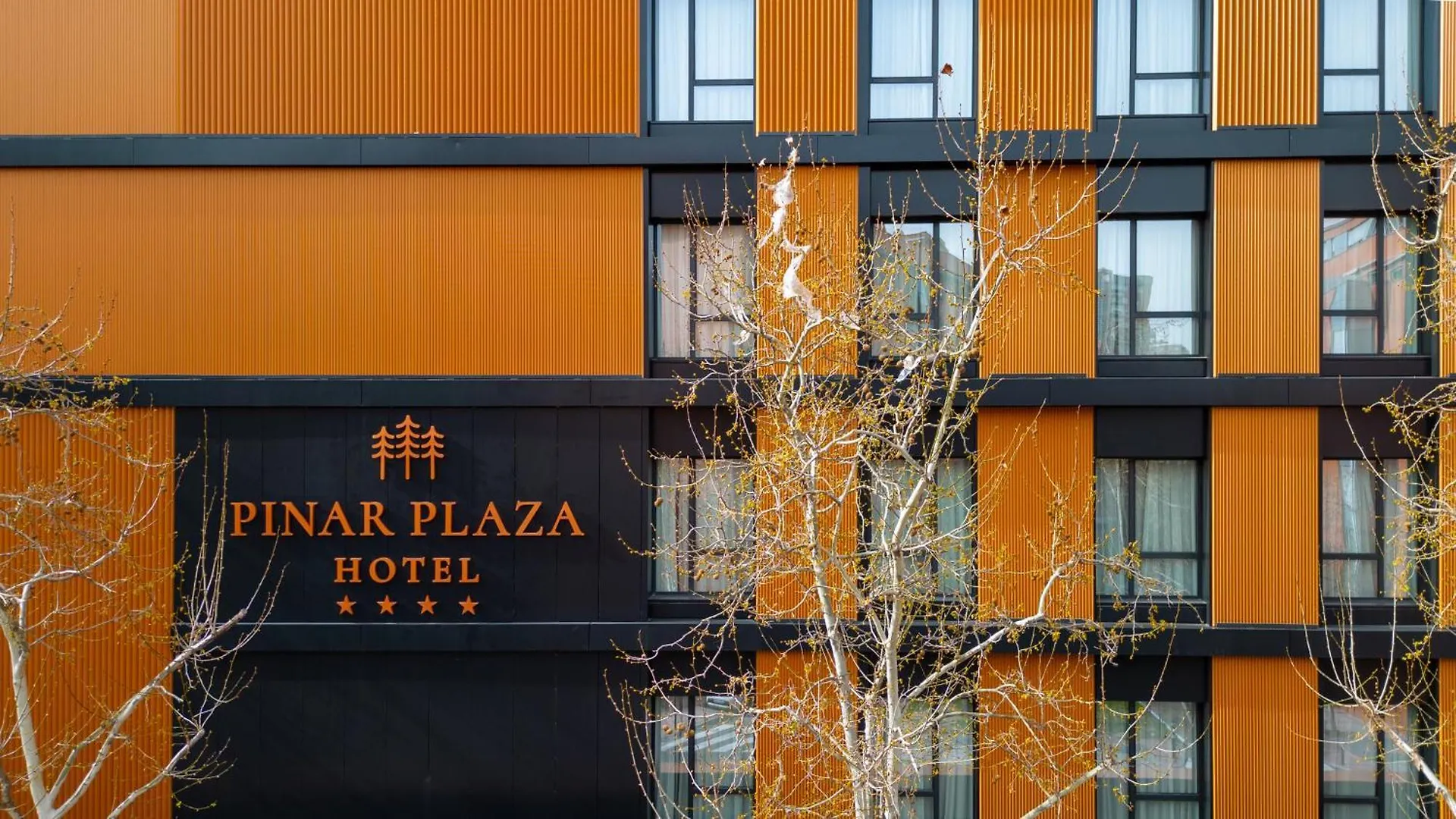 Hotel Pinar Plaza Madrid 4*,